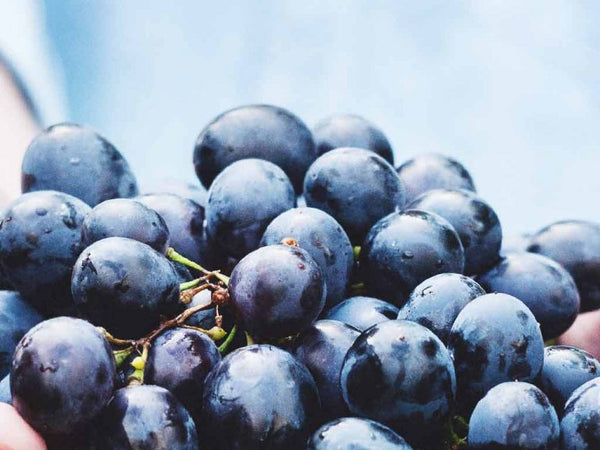 ACEITE DE UVA PARA CUIDAR NUESTRA PIEL