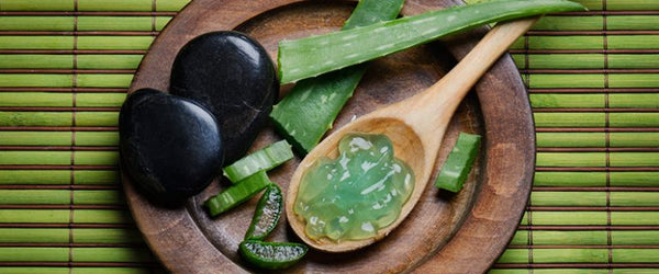 BELLEZA: USO DEL ALOE VERA